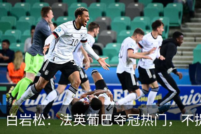 白岩松：法英葡巴夺冠热门，不提阿根廷因为是真喜欢我怕我像贝利